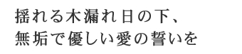 木の温もりに包まれて、至福のひとときを