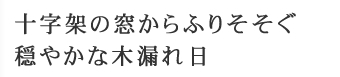 木の温もりに包まれて、至福のひとときを