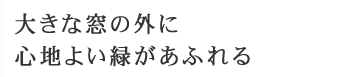 木の温もりに包まれて、至福のひとときを